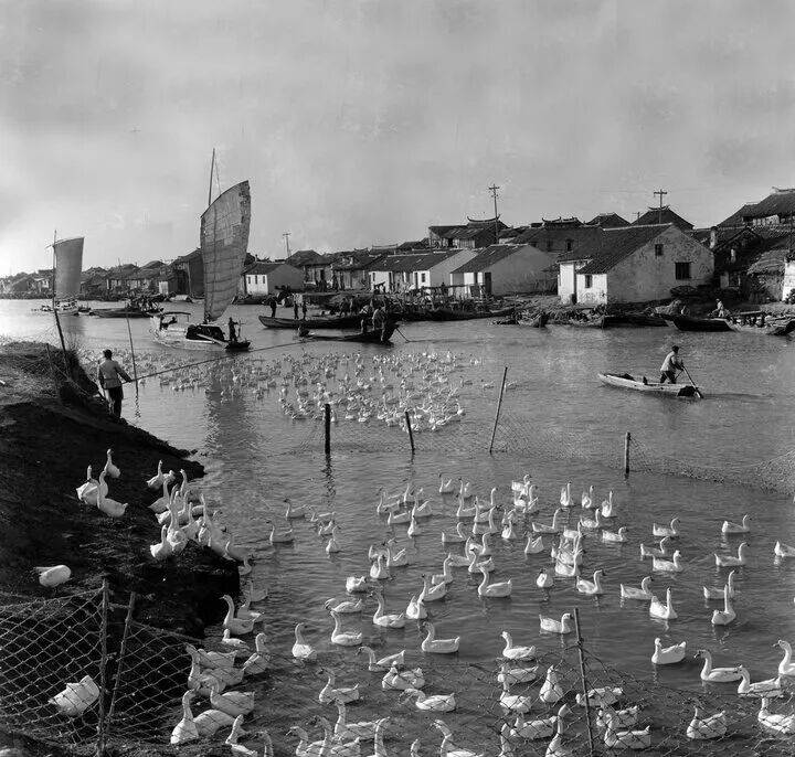 新中國第一批女攝影記者曉莊去世，享年94歲