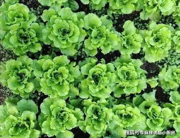 原創分享10道月子美食，坐月子，還是吃家常菜比較舒服，營養美味