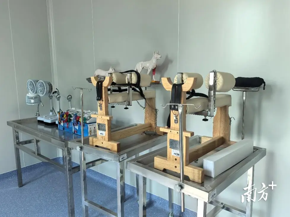 寵物主福音！仲愷農業工程學院“上新了”