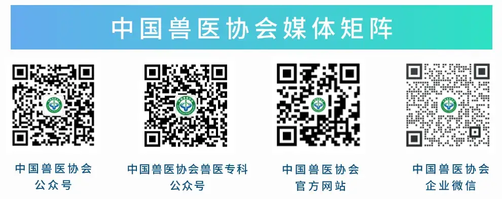 中國獸醫協會關於召開第十三屆獸醫大會暨2026畜牧獸醫用品展覽會的通知（第一輪）