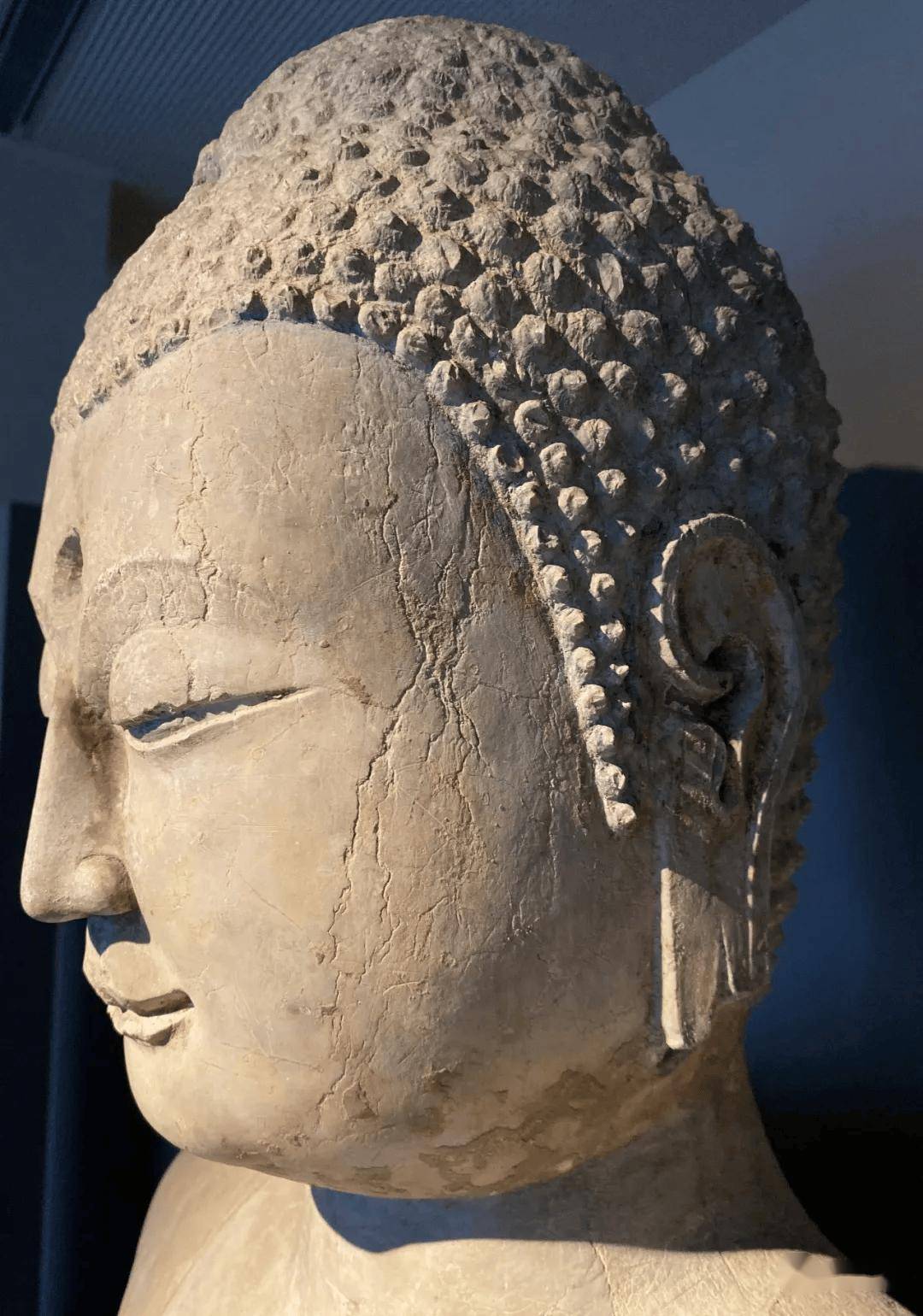 劉海龍分享：震旦博物館佛教造像系列五