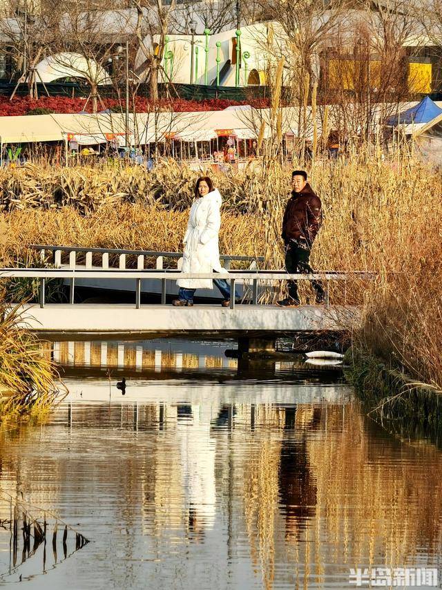 張村河畔夕照垂釣，暖冬繪就生態新景