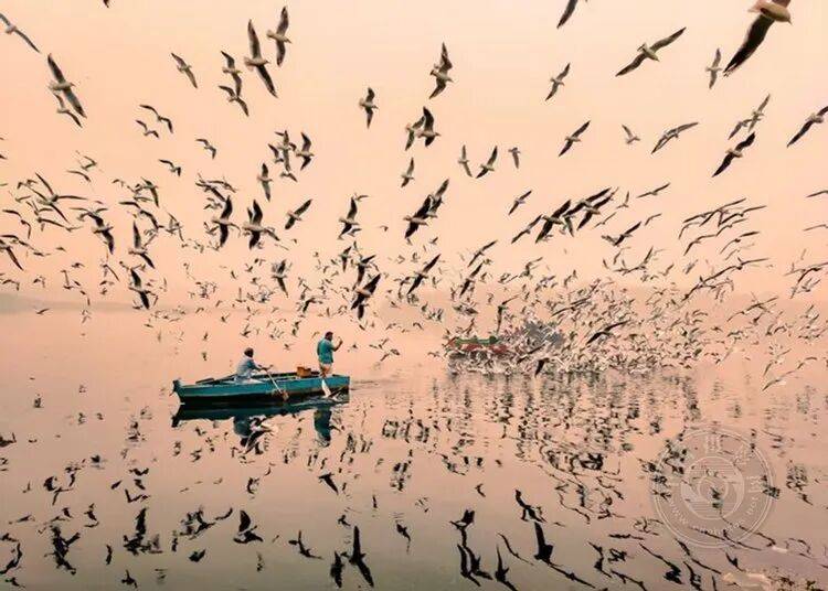 揭曉 | 2025年土耳其移動攝影獎（旅遊與街頭組）獲獎公佈