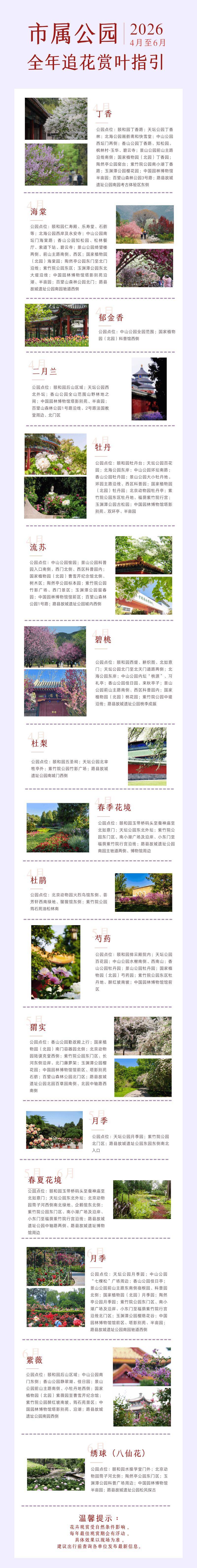 收藏！北京市2026全年追花賞葉指引，最佳觀賞點→