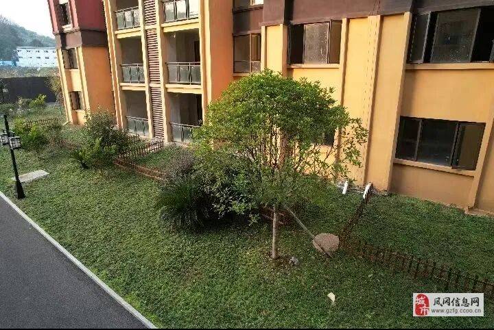 鳳岡龍潭麗景電梯洋房 91-127㎡現房熱銷，即買即住即辦理房產證