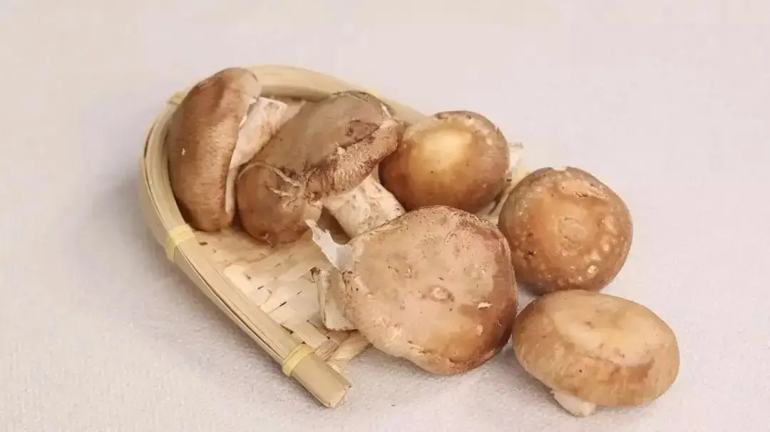 @所有女性！不想老的快，那麼這幾樣食物一定要多吃！