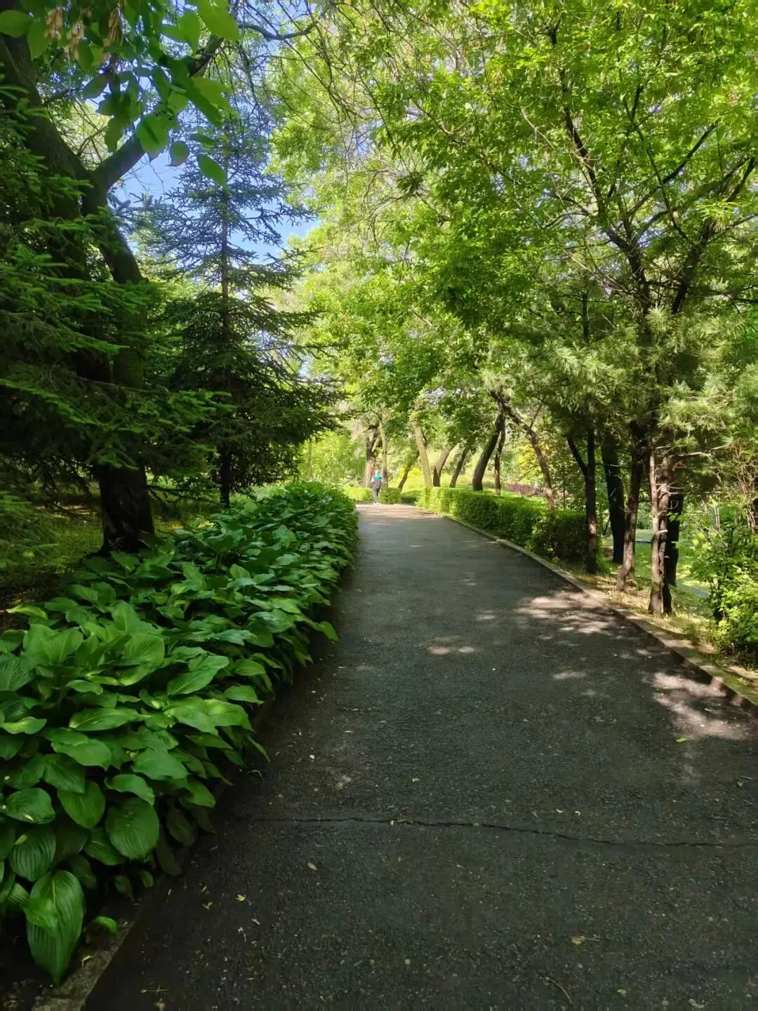 鶴崗「房產一哥」，轉行擦邊背後