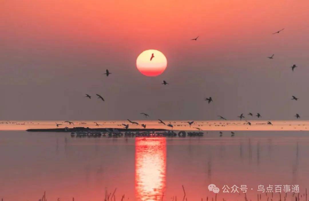 國際旅遊攝影網2026年國內外攝影路線全景指南