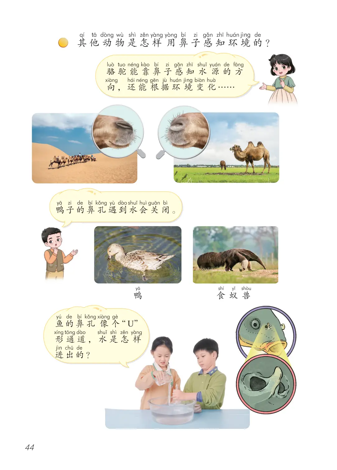 2026青島版一年級科學下冊電子課本(PDF高畫質版新教材)