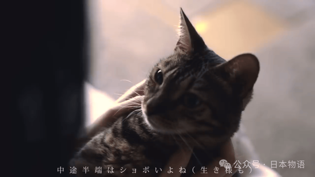 三位父親，暴力與剝削的家——破碎的她17歲就靠賣身支撐家庭的日本女性震撼告白