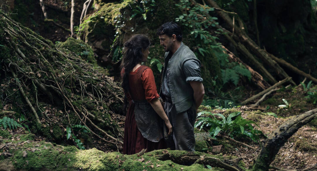 原創這部金球獎佳作，讓我們看到了女性導演的魅力！