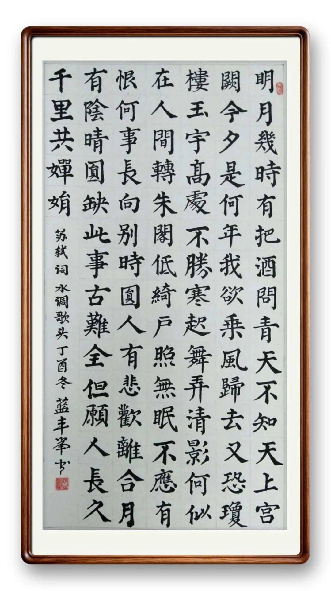 書法藝術家藍豐舉——元啟新章·翰墨賀歲