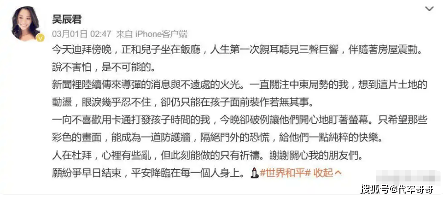 原創47歲吳辰君近況曝光！嫁給內地富商帶兒子移民迪拜，親歷戰火嚇到想哭