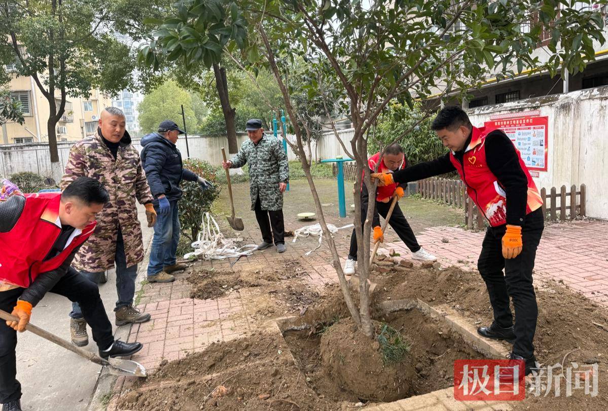 “房子是租的，但生活是自己的！”他們在公租房小區種下“歸屬感”