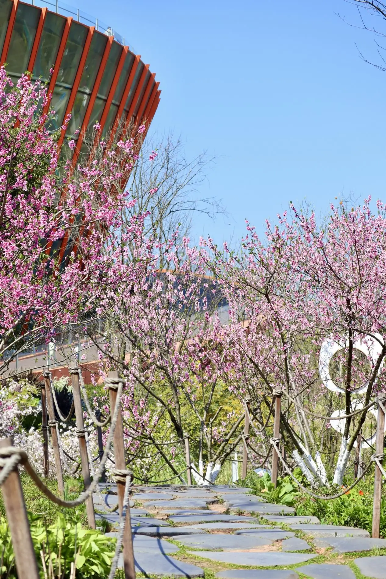 快收藏！丹景臺春日賞花徒步攻略來了