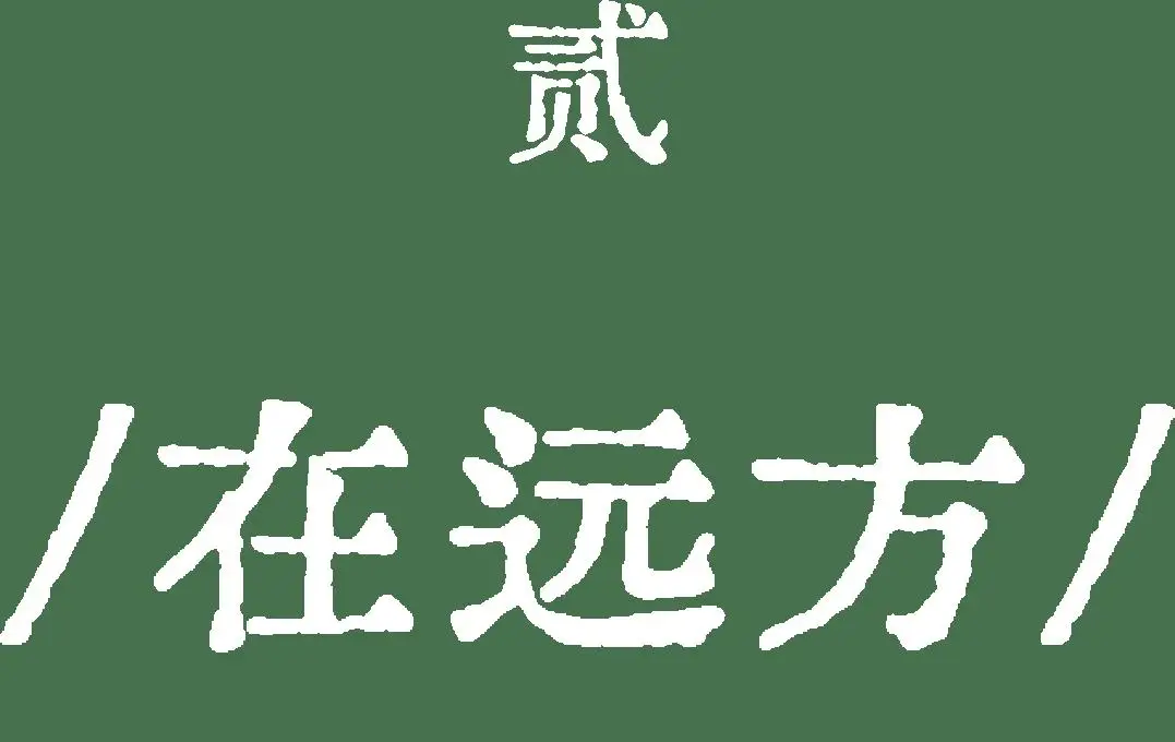 這部佟麗婭主演的舞蹈詩劇，用舞蹈書寫了民族的散文詩