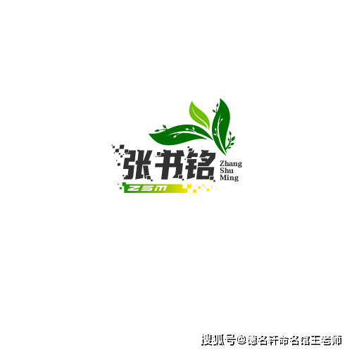 原創寶寶起名案例 張書銘：書張心志，銘刻春秋