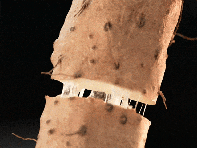 戲劇性變化出現了！