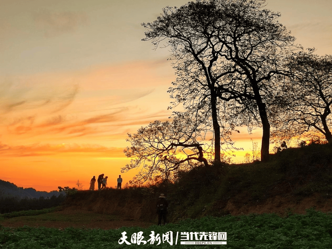 正安縣老年大學開展校外實踐教學活動
