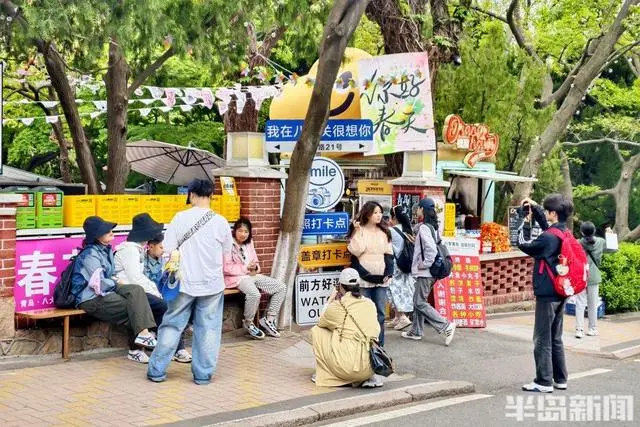 遊人漫步八大關，收藏立夏好時光