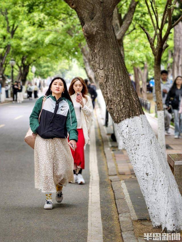 遊人漫步八大關，收藏立夏好時光