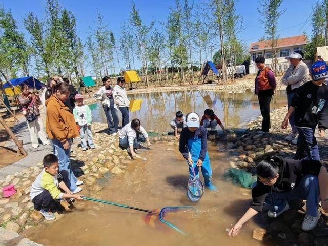40餘畝銀杏林水系、土窯燜烤美食，“反向度假”帶火青島西海岸新區大場鎮“前河小院”