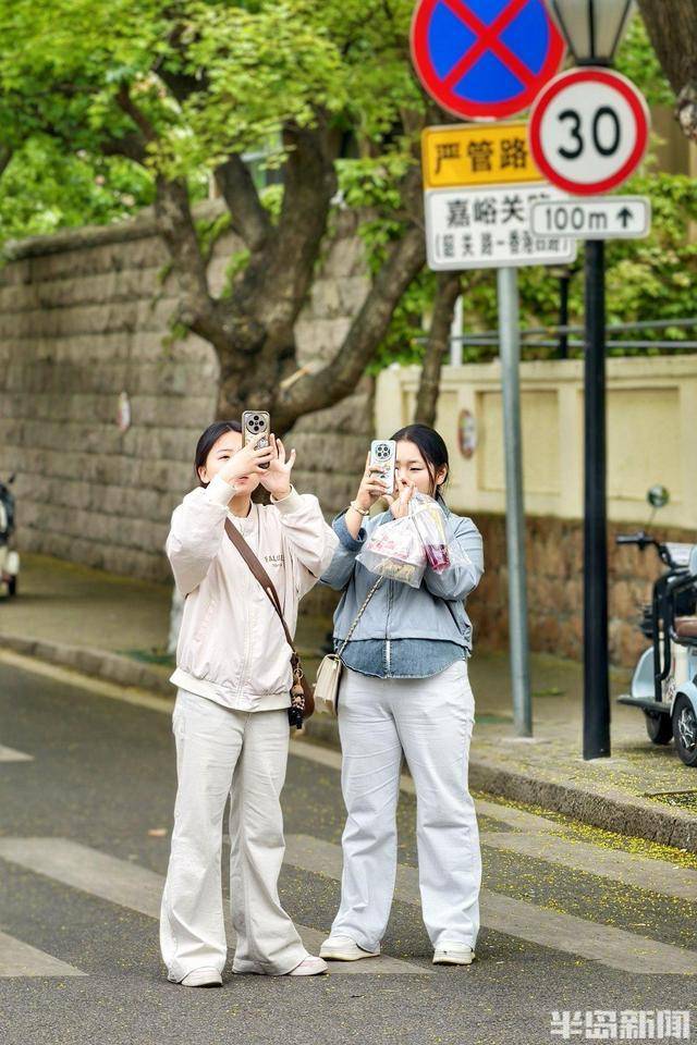 遊人漫步八大關，收藏立夏好時光