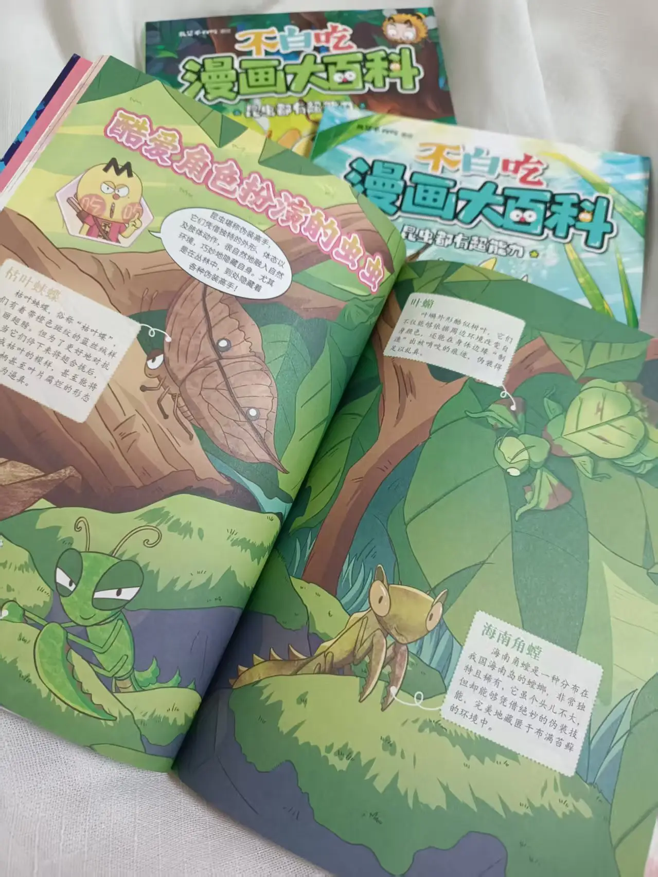 不踩線、懂維權、防霸凌，小朋友也能懂法律