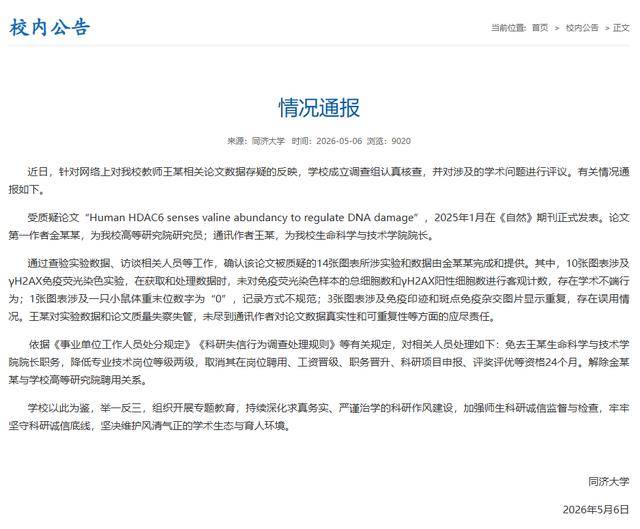 三名985名校“傑青”涉嫌論文造假，一人已被同濟免職