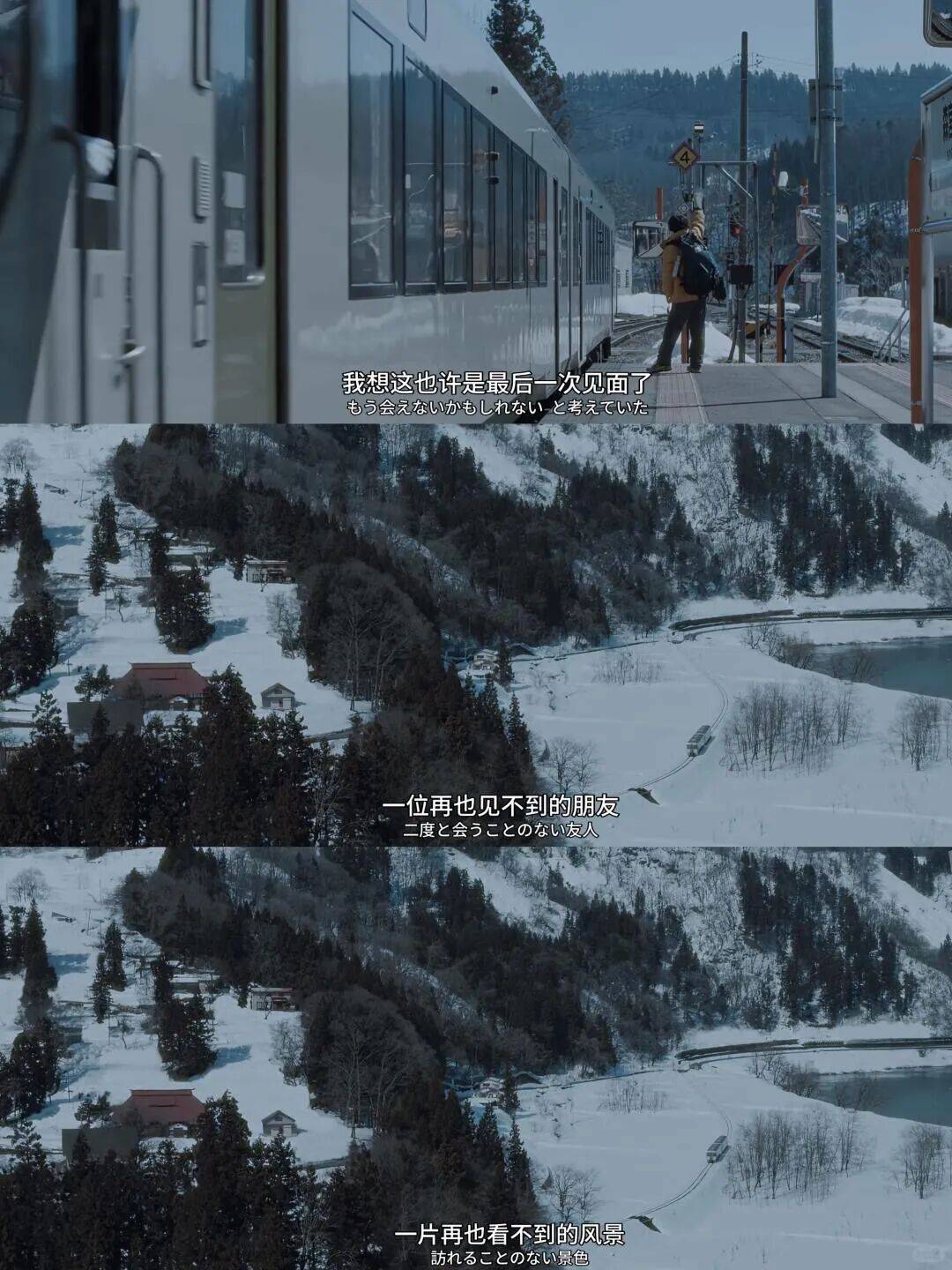 被坑慘了的年輕人，已經放棄找旅遊搭子了