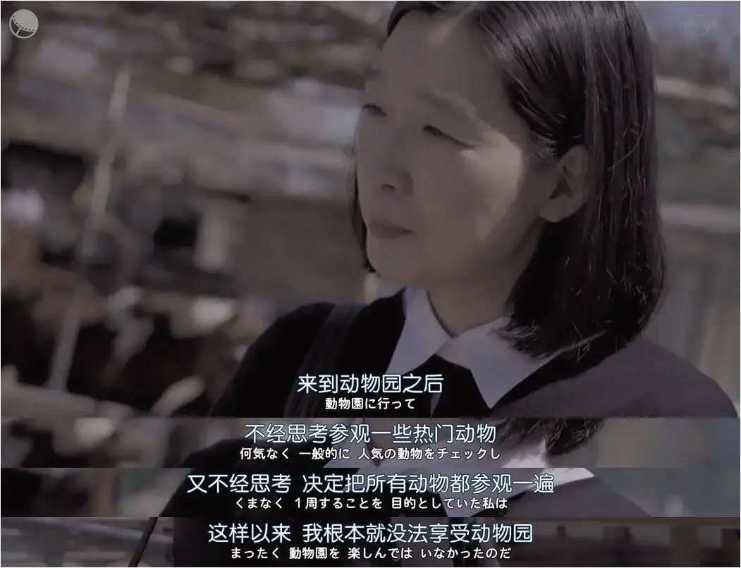 被坑慘了的年輕人，已經放棄找旅遊搭子了