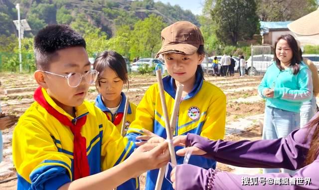 原創一粒種子的力量——平涼拂曉小學五育融合繪就育人新圖景