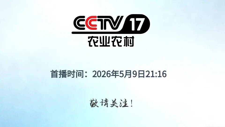 崔村鎮專場來襲，絕技出圈、美景美食，看完直接心動