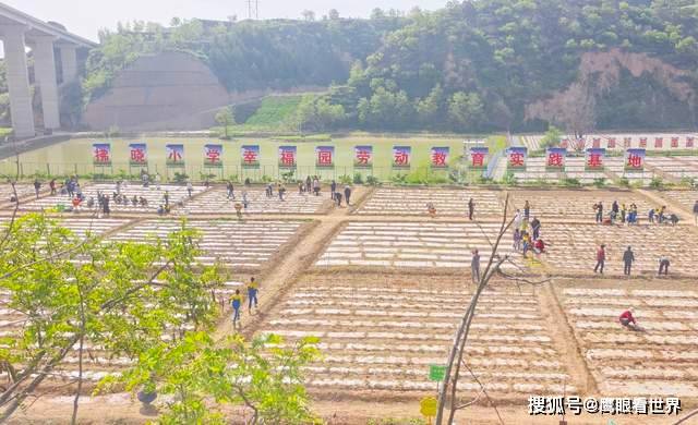 原創一粒種子的力量——平涼拂曉小學五育融合繪就育人新圖景