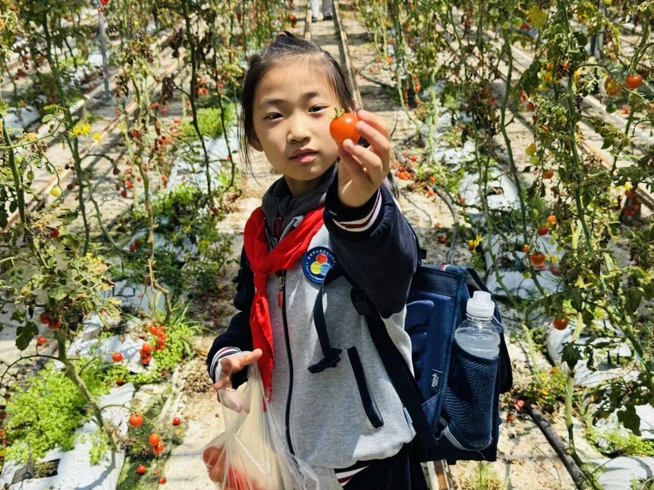 蘇州市三元實驗小學校全體學生走進西山綠光開心農場開展研學實踐活動