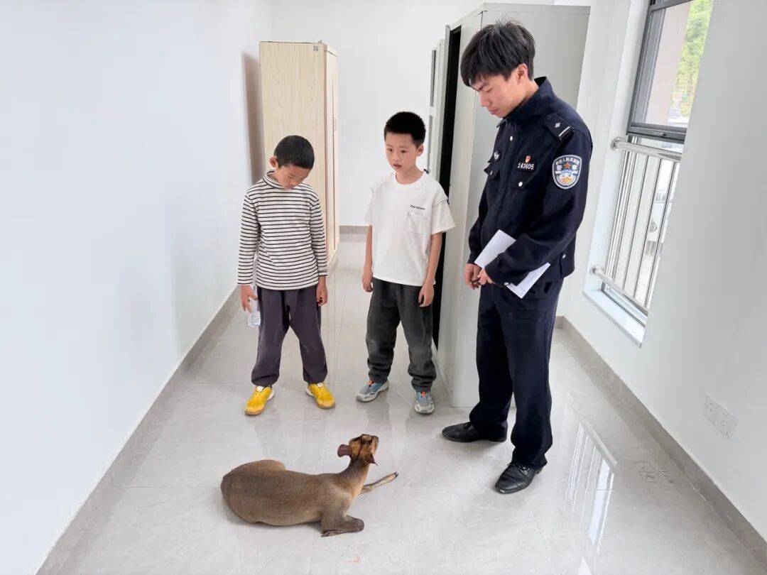 一場特殊的“科普課”小學生救助國家保護動物獲民警點贊