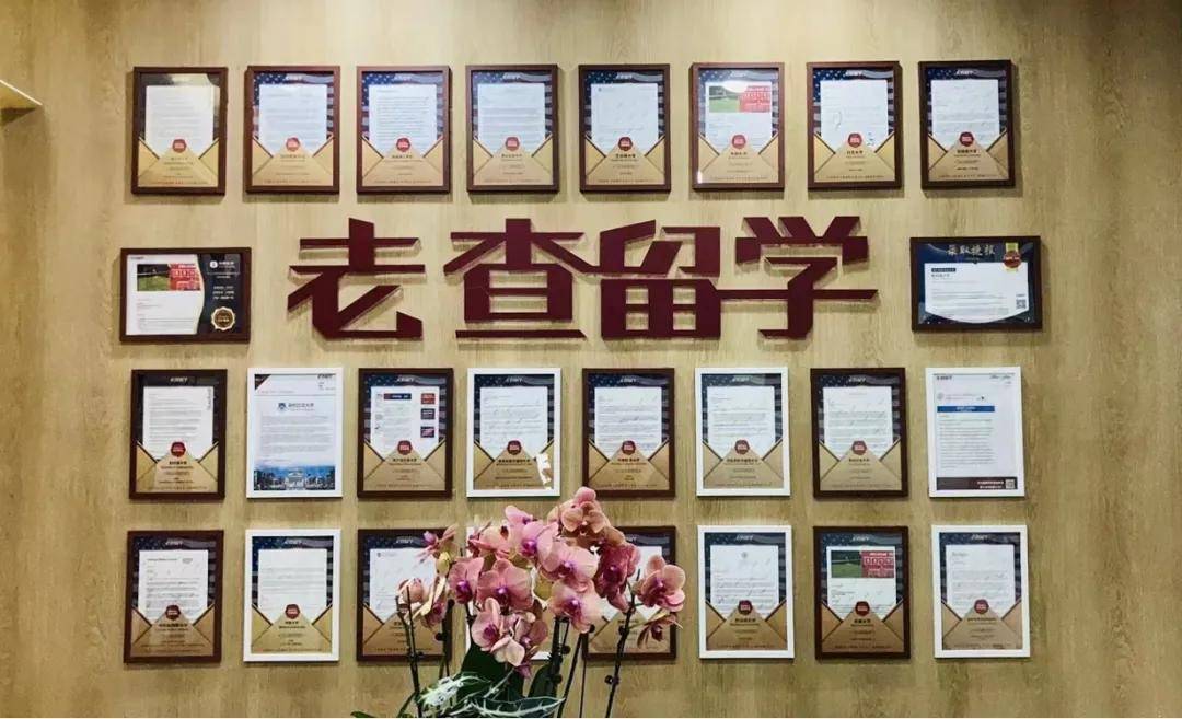 老查留學陪伴這三年，我終於學會為自己人生做決定了！