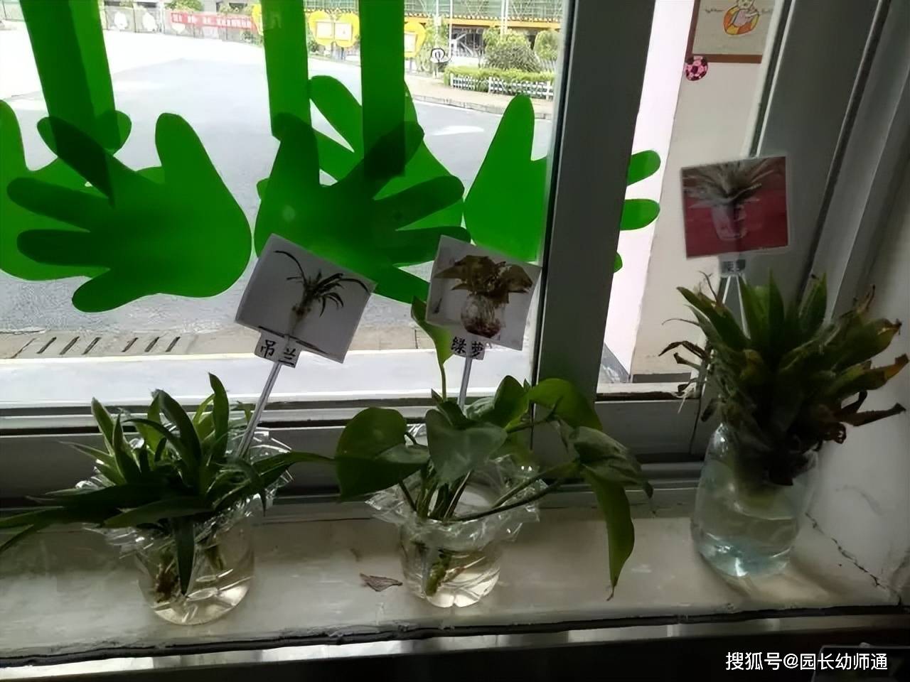 幼兒園“優秀班級”環創佈置，看過的老師都收藏了！