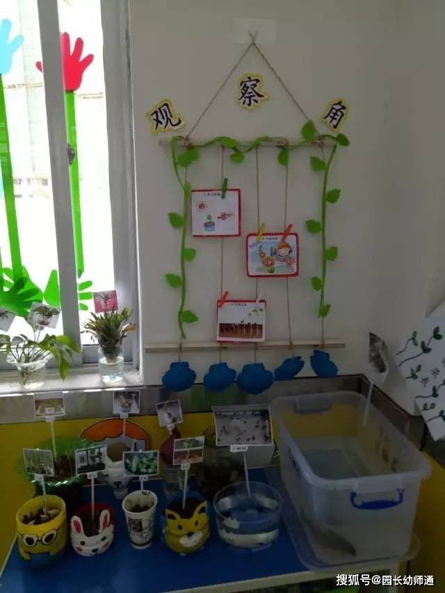 幼兒園“優秀班級”環創佈置，看過的老師都收藏了！