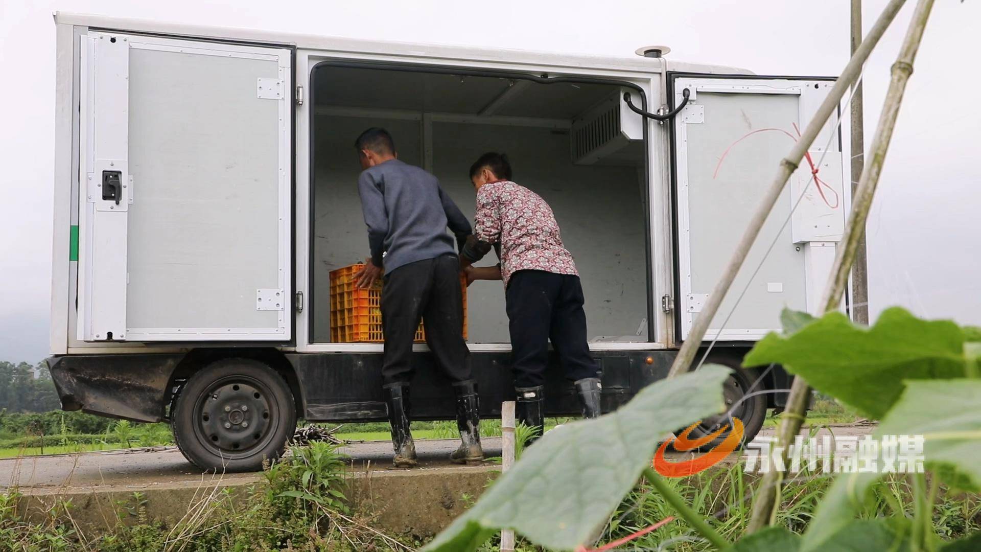 藍山縣無人配送車助力快遞進村 農產品進城