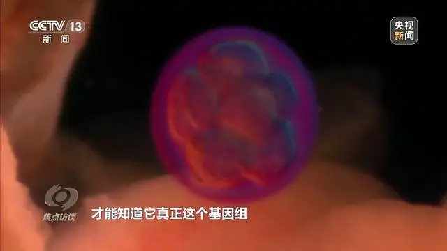 焦點訪談丨“舟”行萬里赴星河 中國空間站“太空快遞”再上新