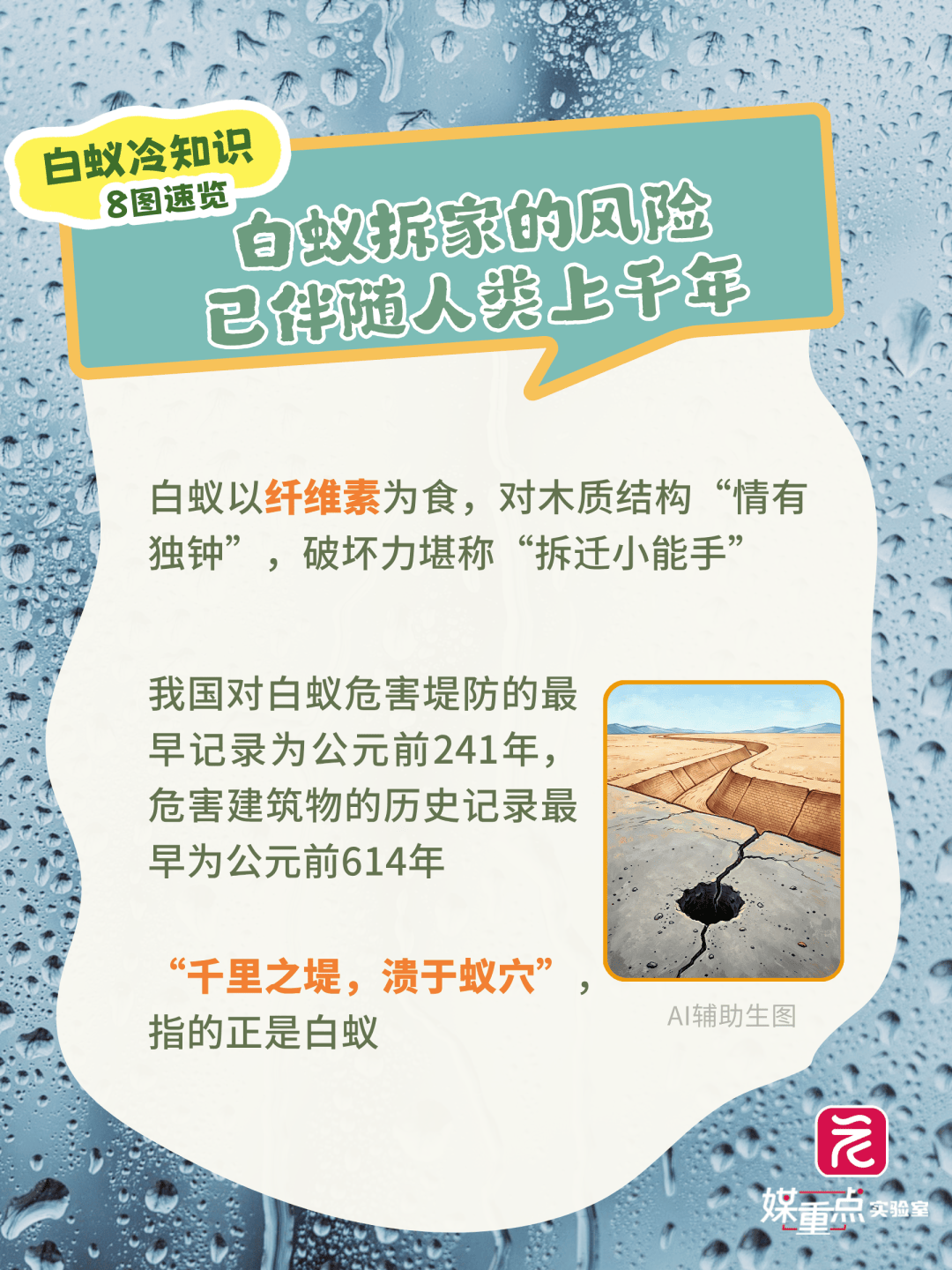 密密麻麻，近期大量出現！廣東人注意：關好門窗
