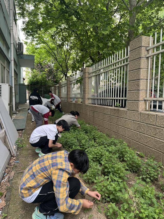 二七區藝術小學開展勞動教育主題周系列活動