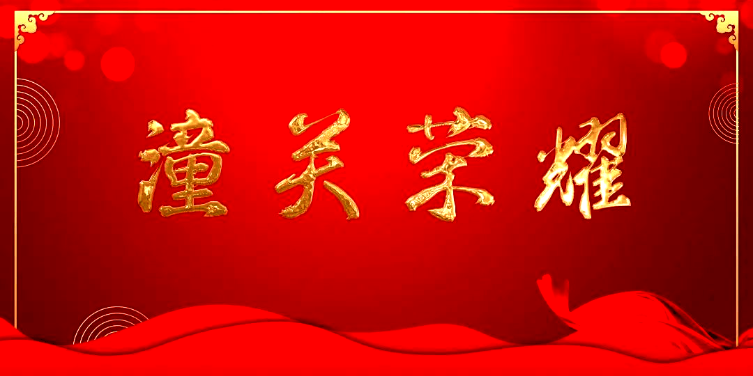 【潼關榮耀】我縣書法愛好者辛迪作品榮獲陝西省“讓世界看見秦嶺”書畫大賽優秀獎