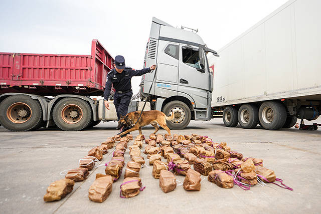 內蒙古二連邊檢站：移民管理警察查獲走私馬腸衣80包