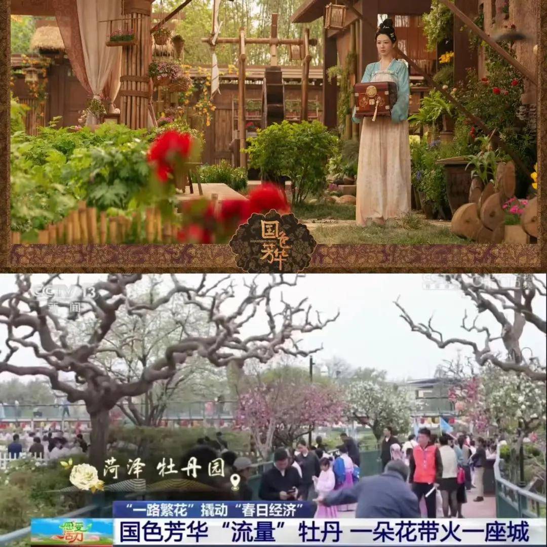 原創誰來捍衛影視的未來？| 我在春交會聽到最清醒的話