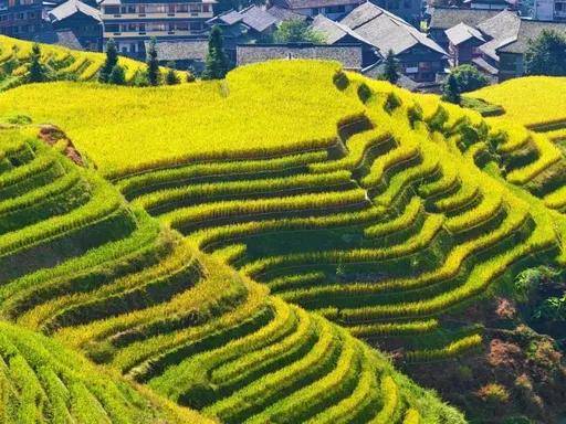 國內經典攝影旅遊攻略線路（# 國際旅遊攝影網 精選）