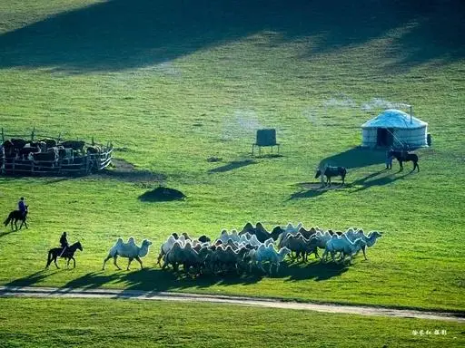 去壩上旅遊玩耍，找哪一家比較好？順帶給介紹個攝影帶隊，比較靠譜一些的。就找#國際旅遊攝影網/#52旅遊攝影/#52旅行攝影