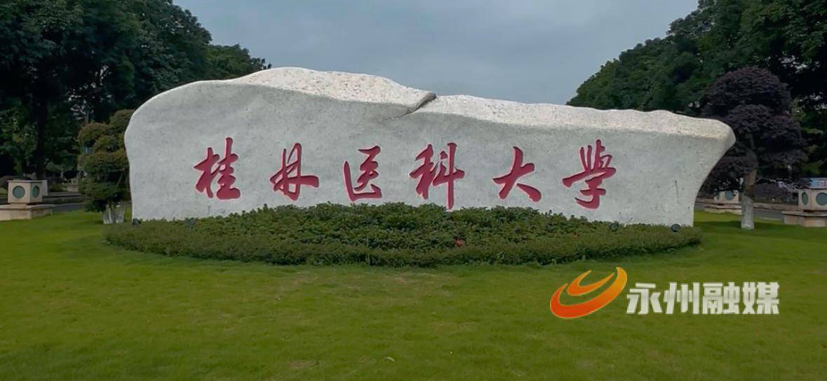 江永縣赴桂林醫科大學開展人才引進專場招聘