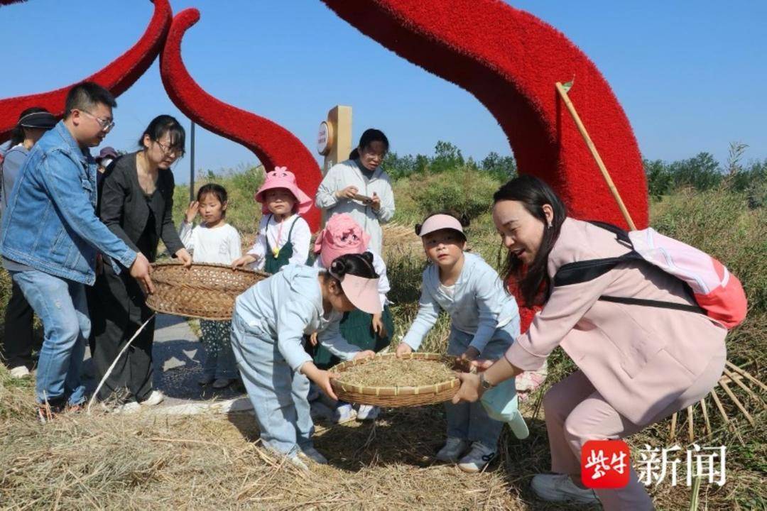 鹽城大縱湖旅遊度假區：走進湖塘花海 體驗農耕文化